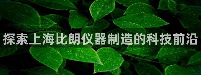 彩神v8是一个什么平台啊：探索上海比朗仪器制造的科技前沿