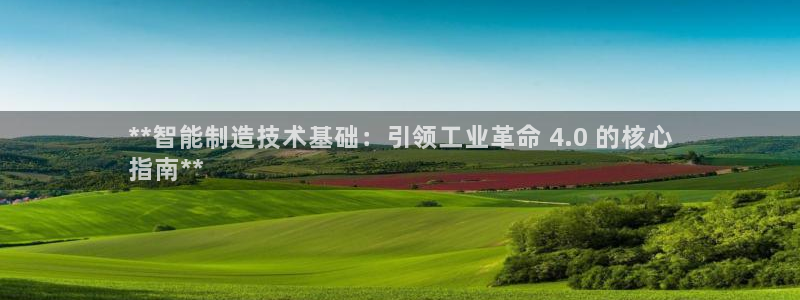 彩神赢了钱登录不上去：**智能制造技术基础：引领工业革命 4.0 的核心
指南**