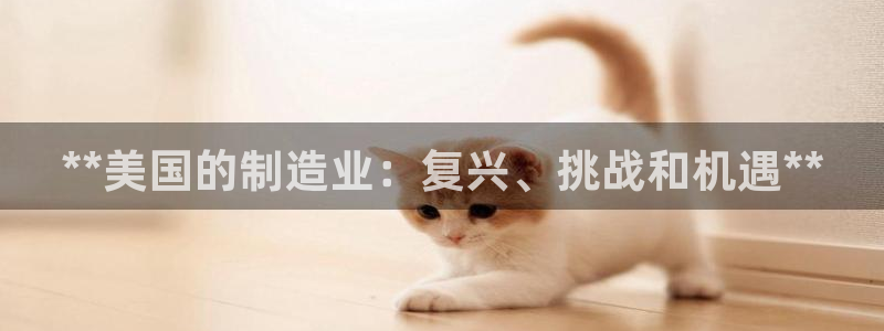 下载彩神通关注码：**美国的制造业：复兴、挑战和机遇**