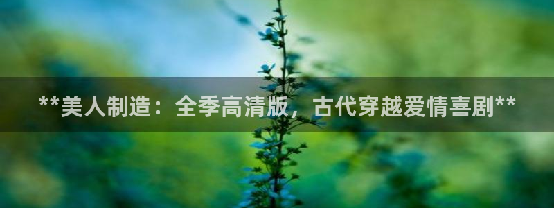 彩神V集团有限公司