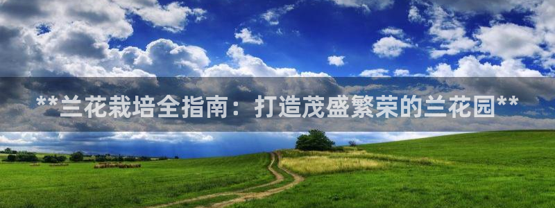 彩神输的钱是赌博还是诈骗：**兰花栽培全指南：打造茂盛繁荣的兰花园**
