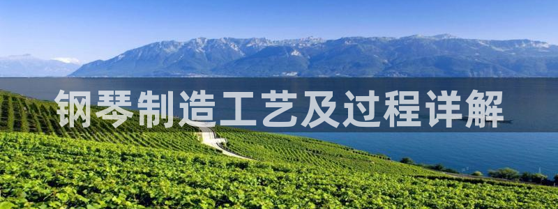 彩神VII官方版：钢琴制造工艺及过程详解