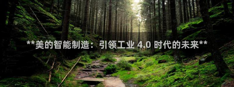 在彩神网输了六万多怎么拿回来：**美的智能制造：引领工业 4