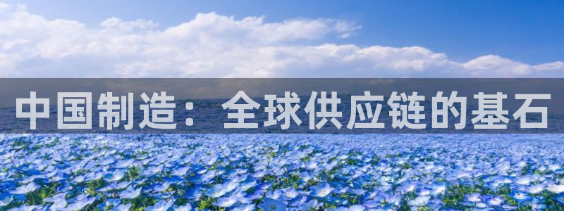 彩神 好 平台：中国制造：全球供应链的基石