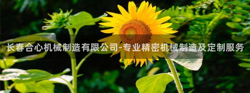 彩神v1官网：长春合心机械制造有限公司-专业精密机械制造及定