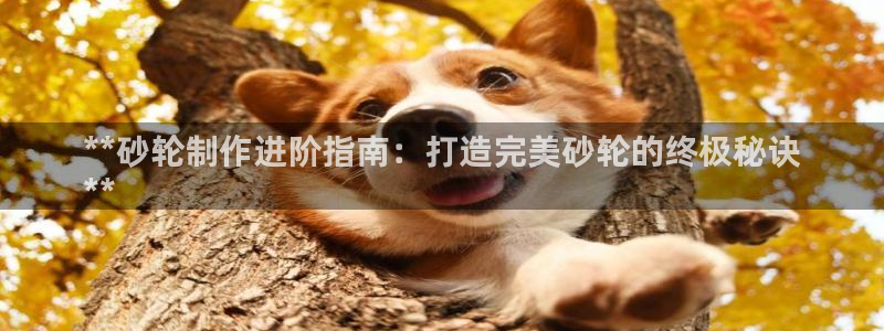 彩神iv是正规平台吗?：**砂轮制作进阶指南：打造完美砂轮的