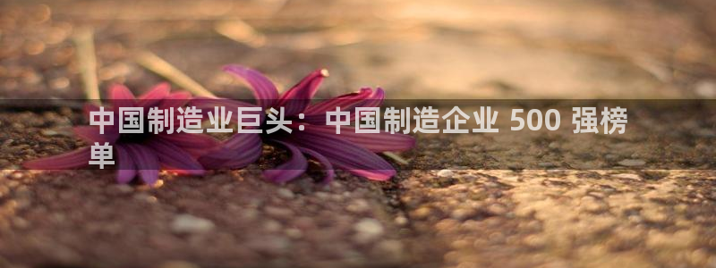 彩神8官网下：中国制造业巨头：中国制造企业 500 强榜
单