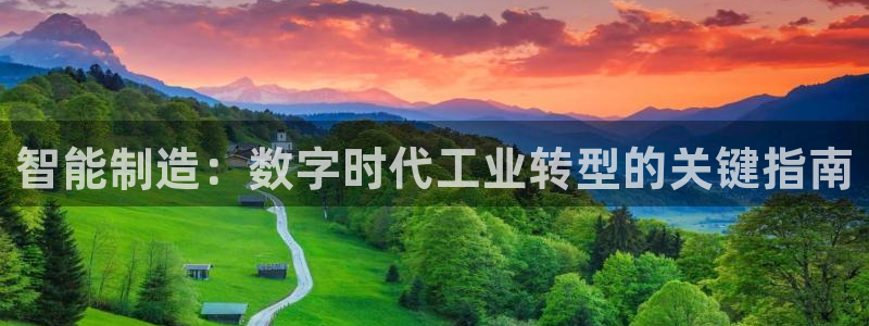 彩神购彩-购彩大厅入口计划群：智能制造：数字时代工业转型的关键指南