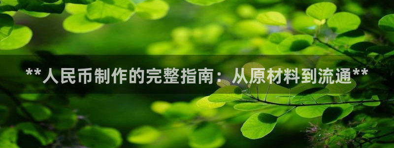 彩神ix能赚钱吗：**人民币制作的完整指南：从原材料到流通**