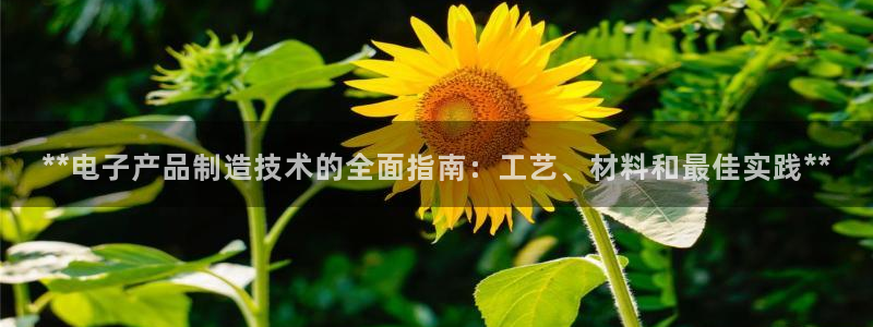 彩神ii官方网：**电子产品制造技术的全面指南：工艺、材料和