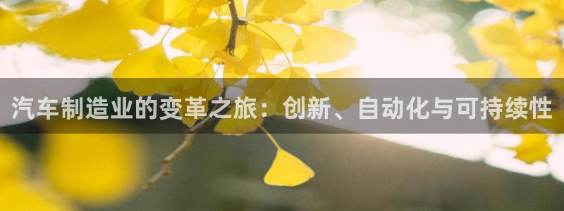 彩神购彩-购彩大厅入口计划群：汽车制造业的变革之旅：创新、自动化与可持续性