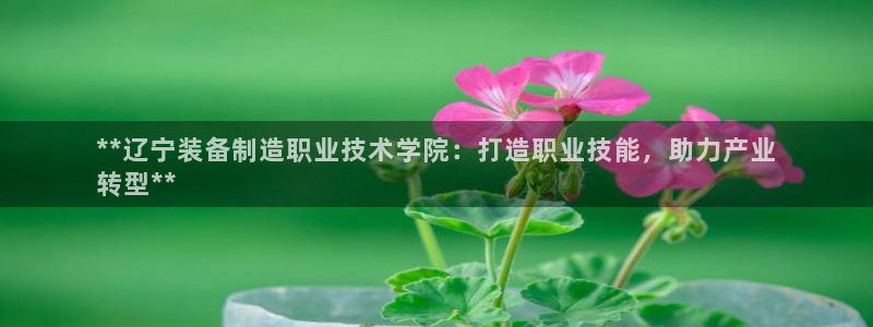 彩神vll首页企业文化：**辽宁装备制造职业技术学院：打造职业技能，助力产业
转型**