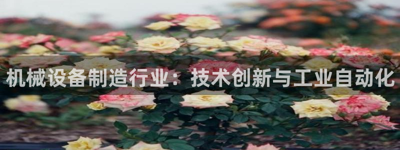 彩神v8app：机械设备制造行业：技术创新与工业自动化