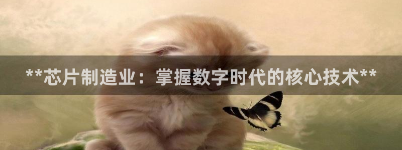 新版彩神v8登录不了：**芯片制造业：掌握数字时代的核心技术
