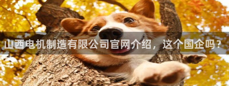 彩神iv是正规平台吗?：山西电机制造有限公司官网介绍，这个国