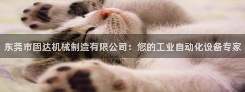 彩神vip官方网站：东莞市固达机械制造有限公司：您的工业自动化设备专家