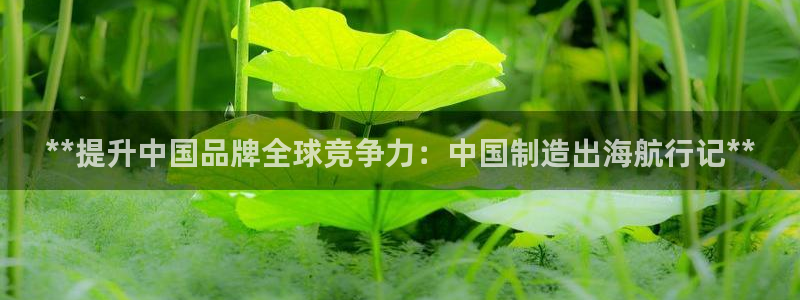 彩神v8购彩大厅登：**提升中国品牌全球竞争力：中国制造出海