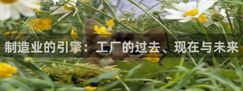 彩神购彩-购彩大厅入口500：制造业的引擎：工厂的过去、现在与未来