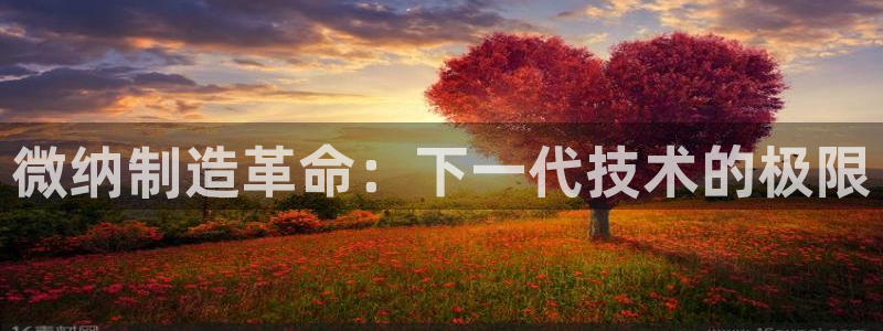 彩神争霸官网登录平台：微纳制造革命：下一代技术的极限