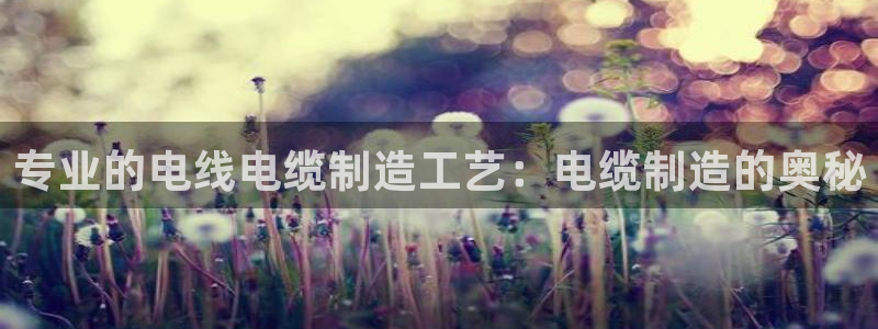 彩神网官网登录：专业的电线电缆制造工艺：电缆制造的奥秘