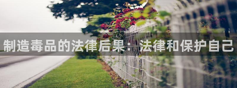 彩神viii官网：制造毒品的法律后果：法律和保护自己