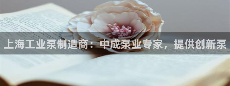 彩神vllⅰ购彩大厅：上海工业泵制造商：中成泵业专家，提供创新泵