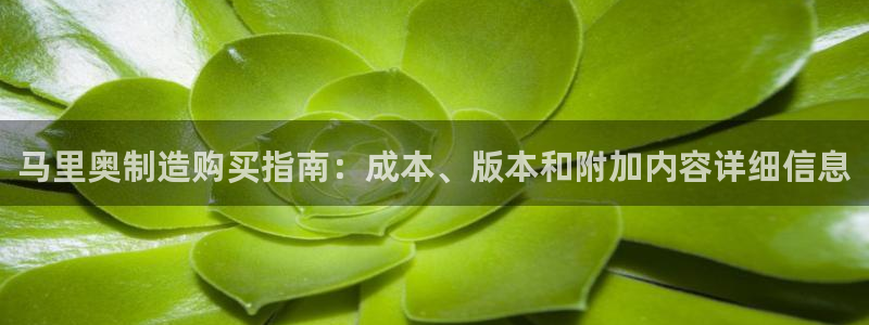 彩神vlll官方网：马里奥制造购买指南：成本、版本和附加内容详细信息
