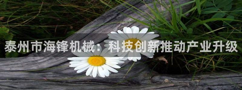 彩神V集团公司：泰州市海锋机械：科技创新推动产业升级