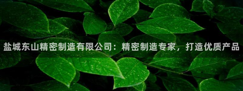 彩神v争霸有限公司：盐城东山精密制造有限公司：精密制造专家，打造优质产品