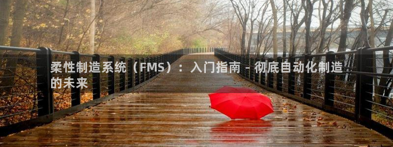 彩神8彩平台客服：柔性制造系统（FMS）：入门指南 - 彻底