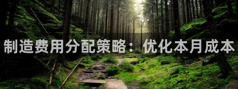 彩神velcome购彩大厅：制造费用分配策略：优化本月成本