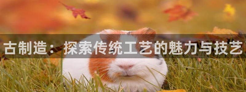 彩神平台注册登录：古制造：探索传统工艺的魅力与技艺