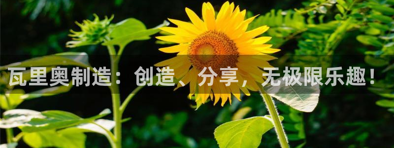 彩神v8手机客户端怎么下载：瓦里奥制造：创造、分享，无极限乐