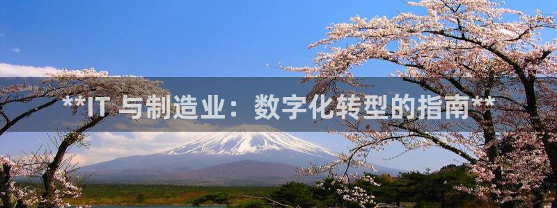 彩神v集团有限公司：**IT 与制造业：数字化转型的指南**