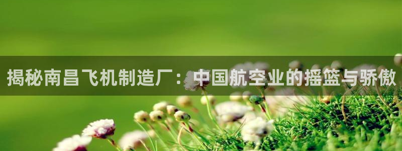 彩神v集团有限公司：揭秘南昌飞机制造厂：中国航空业的摇篮与骄