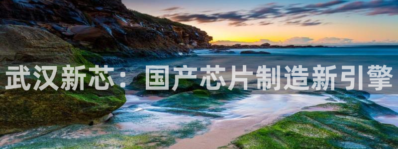 彩神ios下载：武汉新芯：国产芯片制造新引擎