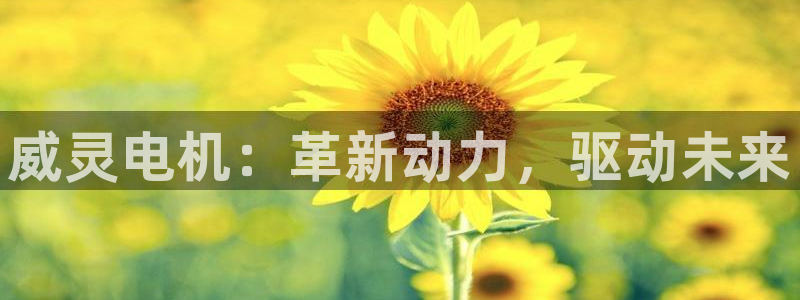 彩神vip购彩：威灵电机：革新动力，驱动未来