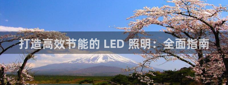 新版彩神v8登录不了：打造高效节能的 LED 照明：全面指南