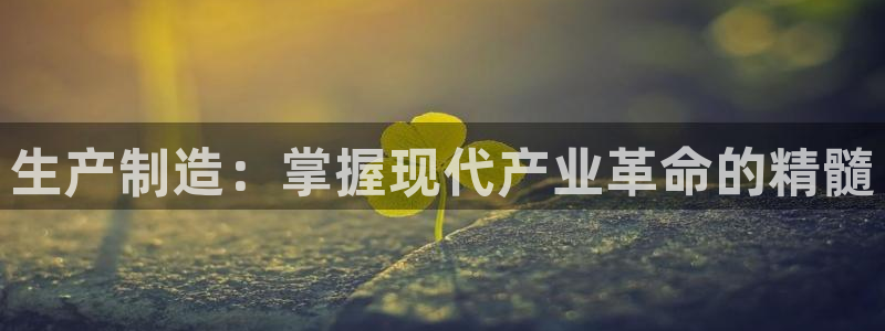 彩神vll购彩大厅：生产制造：掌握现代产业革命的精髓