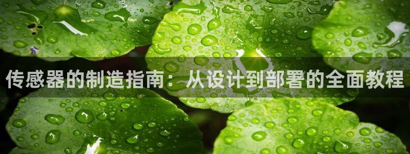 彩神官方网站登录是多少：传感器的制造指南：从设计到部署的全面