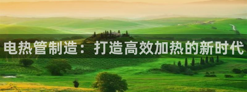 彩神v8app：电热管制造：打造高效加热的新时代
