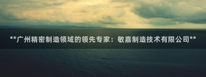 彩神v8是一个什么平台游戏：**广州精密制造领域的领先专家：