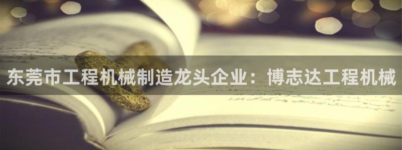 彩神旗下有哪些平台可以玩：东莞市工程机械制造龙头企业：博志达工程机械