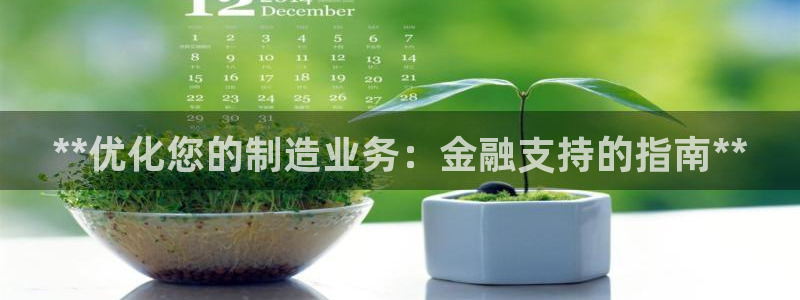 彩神v|：**优化您的制造业务：金融支持的指南**
