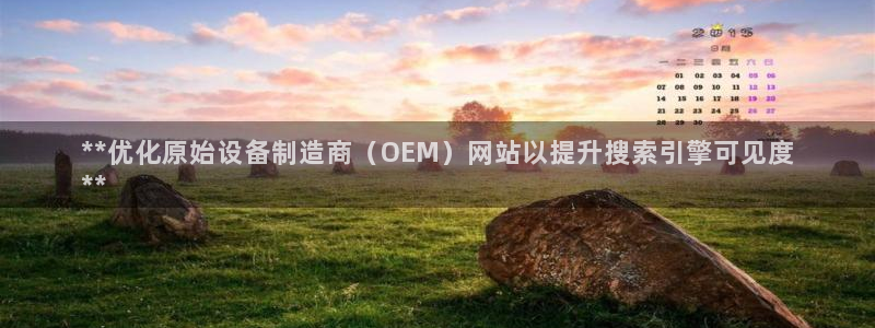 彩神v平台：**优化原始设备制造商（OEM）网站以提升搜索引擎可见度
**