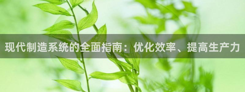 彩神ll能赚钱吗：现代制造系统的全面指南：优化效率、提高生产力