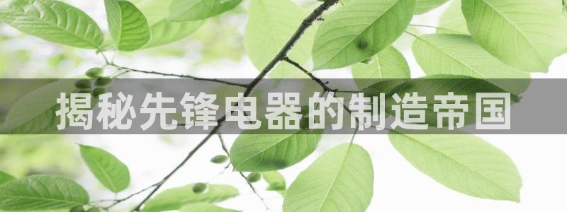 彩神vip购彩大厅下载：揭秘先锋电器的制造帝国