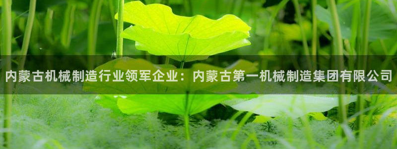 新版彩神v8登录不了：内蒙古机械制造行业领军企业：内蒙古第一机械制造集团有限公司