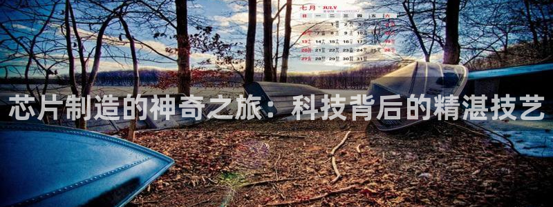 彩神vip官方网站：芯片制造的神奇之旅：科技背后的精湛技艺