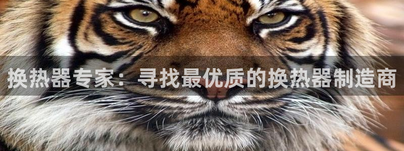 彩神v8手机客户端在哪：换热器专家：寻找最优质的换热器制造商